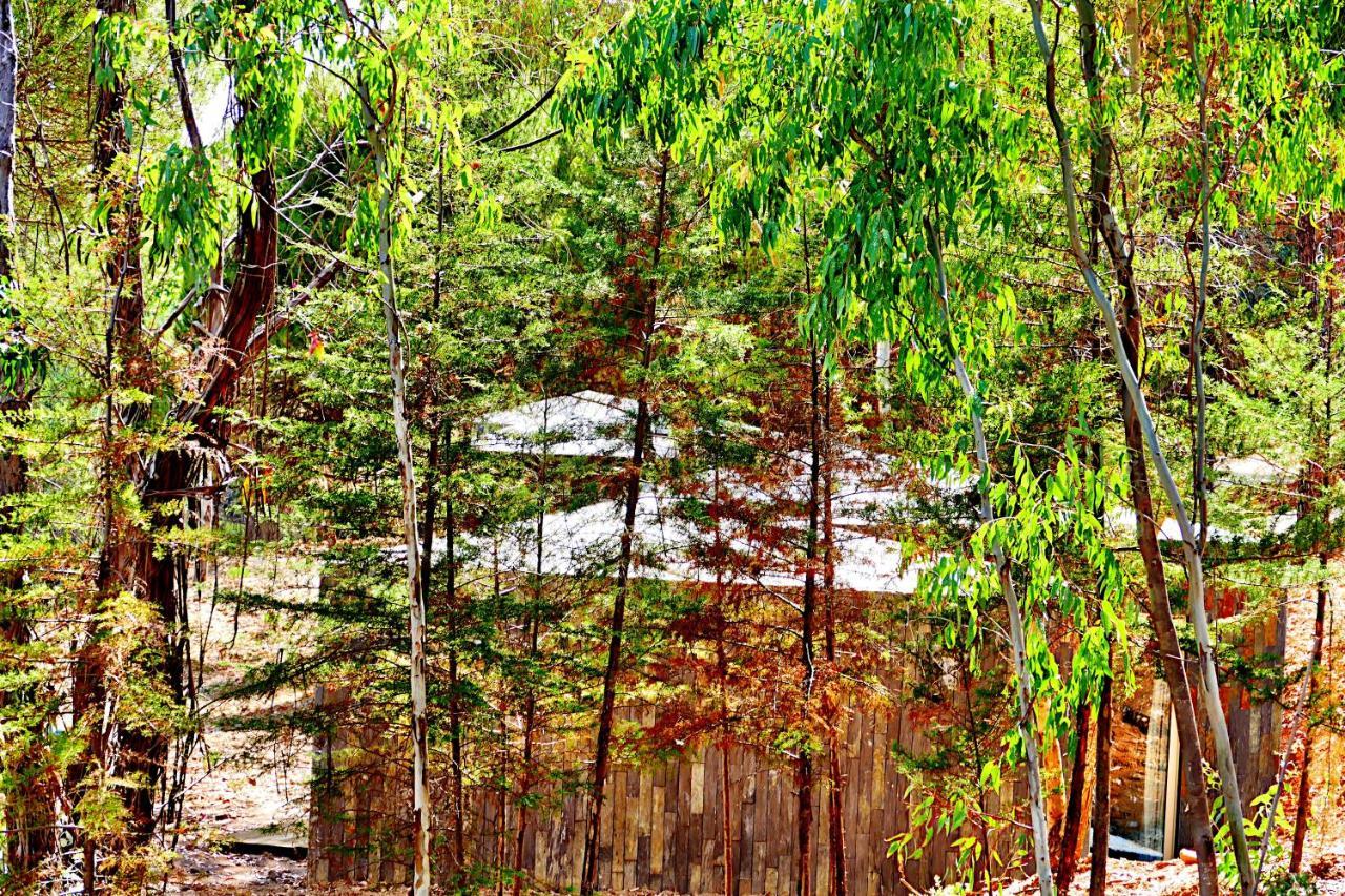 Herdade Clube Tiro Monfortinho Dış mekan fotoğraf