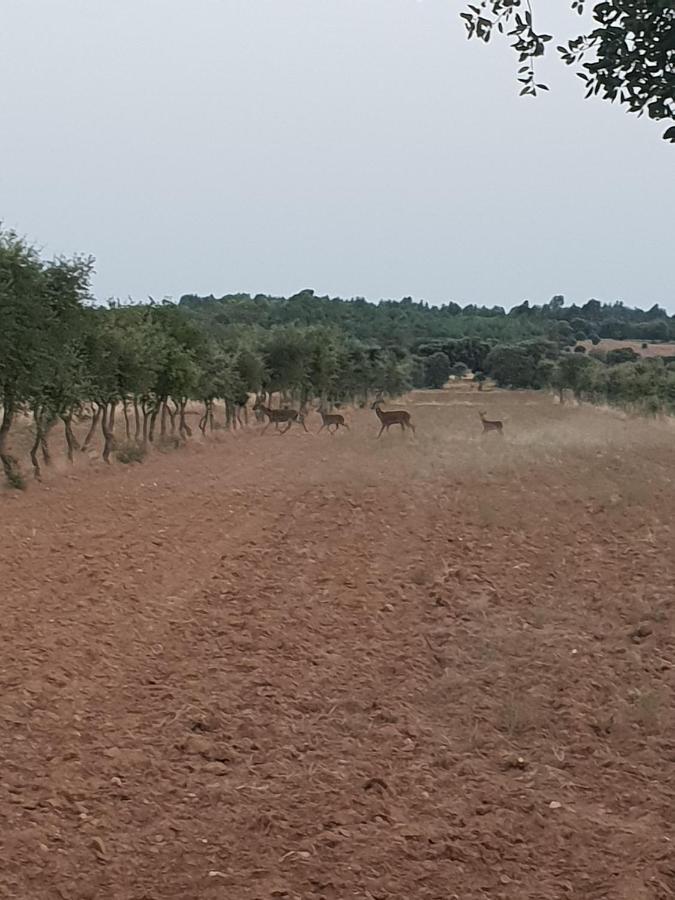 Herdade Clube Tiro Monfortinho Dış mekan fotoğraf